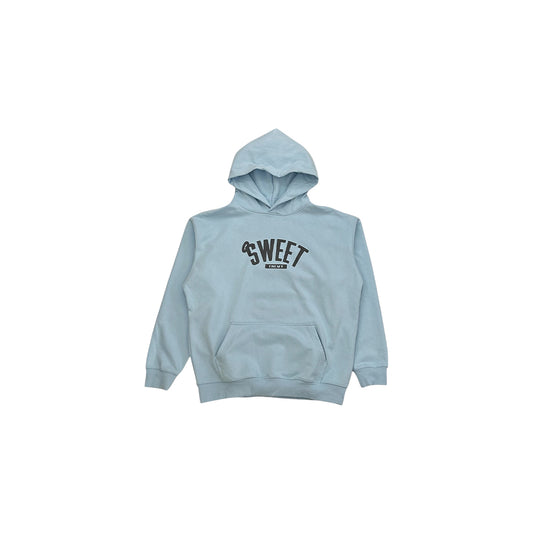 Logo Hoodie (Baby Blue)