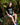 Nourish Your Garden Tee (Black)