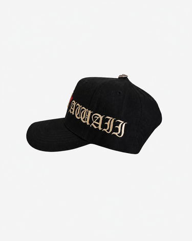 Hawaii Astros Snapback (Black)