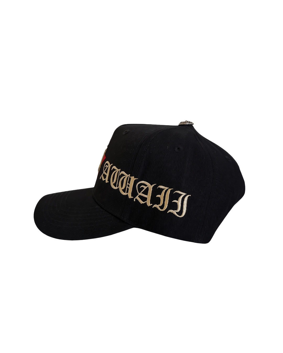 Hawaii Astros Snapback (Black)