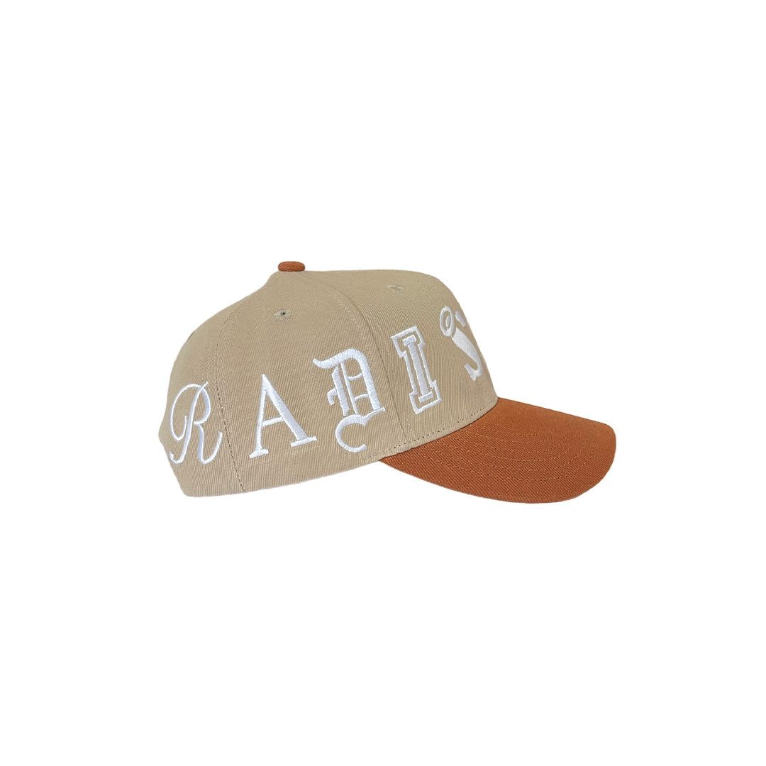 ParadiSE Snapback